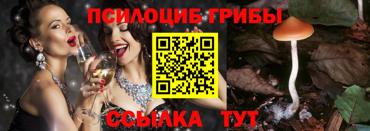 Псилоцибиновые грибы Cubensis  Вход с VPN  Кондопога 